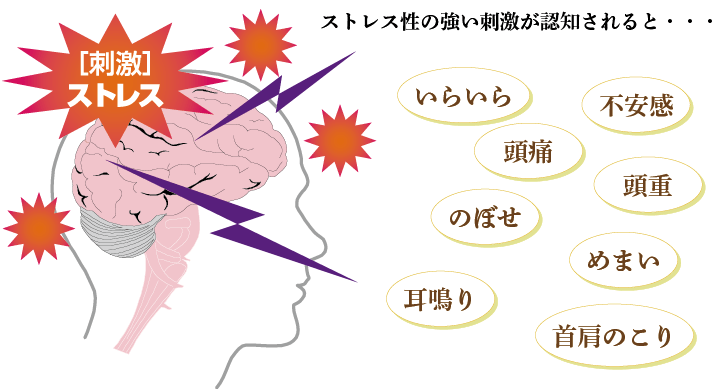 ストレスによる症状一覧