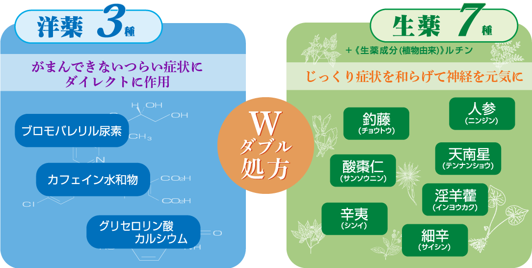 W処方の奥田脳神経薬